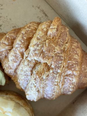 Plain  at Oh My Days in Glebe