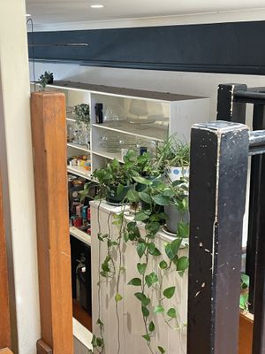   at Oh My Days in Glebe