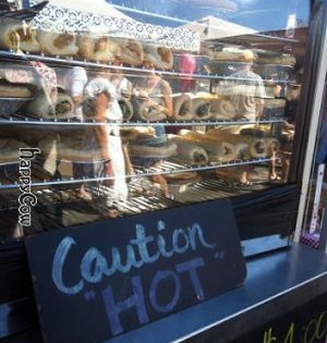 Ready to eat pies & rolls at No Bull - Ykillamoocow Food Stall in West End