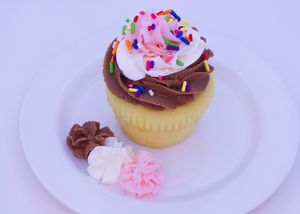 Napoleon at Sarasota Bakehouse in Sarasota