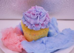 Cotton Candy at Sarasota Bakehouse in Sarasota