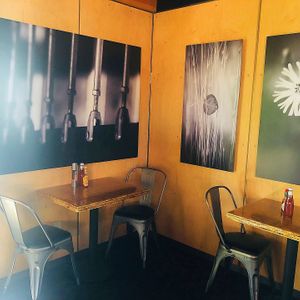 Beautiful relaxed atmosphere  at Stella in Truckee