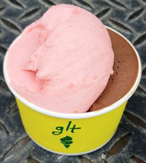 vegan sorbets: strawberry and espresso & chocolate at glt gelato - ㅈㄹㄸ in Seoul
