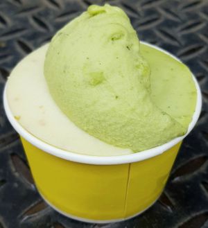 vegan sorbets: cilantro and apple & water dropwort at glt gelato - ㅈㄹㄸ in Seoul