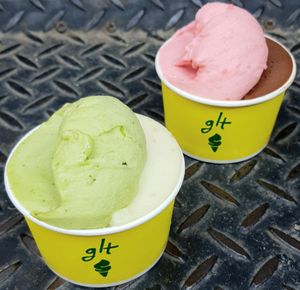 4 vegan sorbets at glt gelato - ㅈㄹㄸ in Seoul