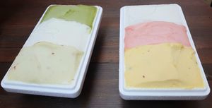 6 out of 8 vegan sorbets that day at glt gelato - ㅈㄹㄸ in Seoul