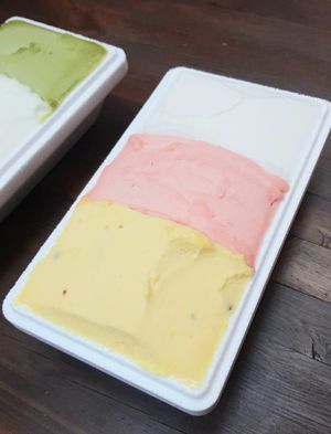 vegan sorbets: passionfruit, watermelon, Korean melon at glt gelato - ㅈㄹㄸ in Seoul