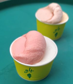 Vegan sorbets: watermelon & Korean melon at glt gelato - ㅈㄹㄸ in Seoul