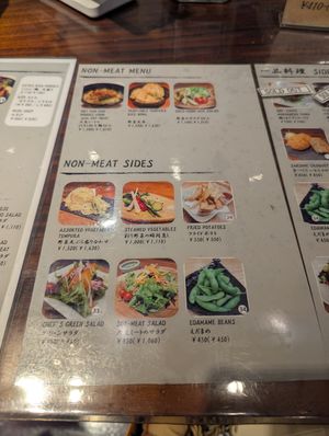  at NRT - Tatsu -T1 in Narita