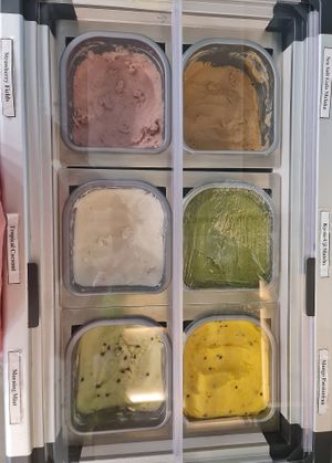 Available flavours ~ 16/6/22 ~ Vegan Ice Cream at Sasco Cafe in North Singapore