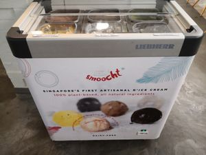 Ice cream at Sasco Cafe in North Singapore