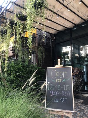   at The Greenhouse in Vientiane