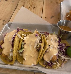 All fish tacos   at Earth Plant Based in Phoenix