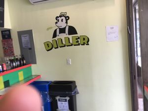 Wall at Diller at Diller in New York City