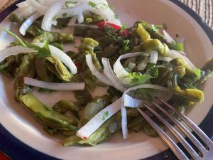 Cactus salad at Los Colorines in Tepoztlan