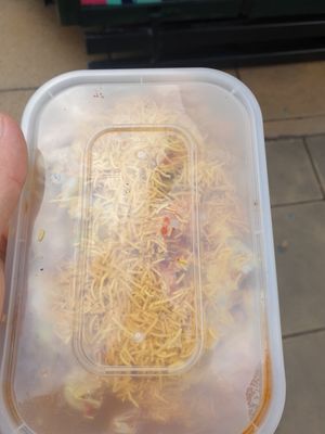 Samosa chaat 7.8/10 tasty just slightly small and cold for my liking at Chai Walla in Cambridge