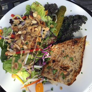 Vegan ruben sandwich with asian salad at Lighthouse Center Bakery and Cafe in Umpqua