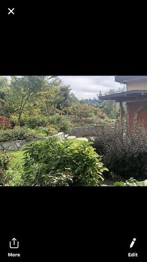 Gorgeous outdoor seating outback at Lighthouse Center Bakery and Cafe in Umpqua