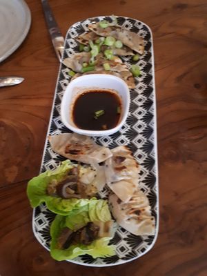 Starter at Studio Vert  in Laroque-des-alberes