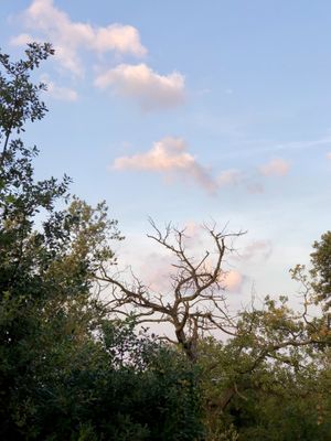 Uitzicht vanaf de veranda voor de Art Room   at Studio Vert  in Laroque-des-alberes