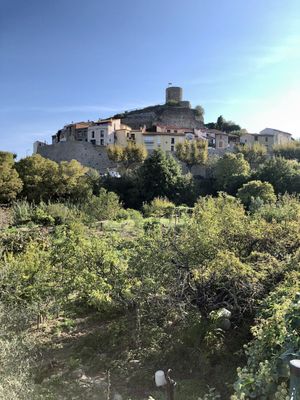Paadje door tuinen naar Laroque-des-Albères op de heuvel   at Studio Vert  in Laroque-des-alberes