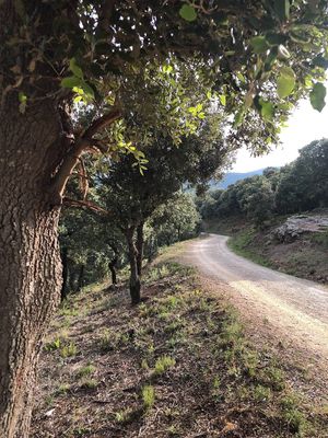 Bergpad  achter Studio Vert 66  at Studio Vert  in Laroque-des-alberes