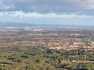 view from nearby at Studio Vert  in Laroque-des-alberes