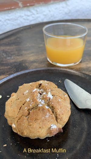   at Studio Vert  in Laroque-des-alberes