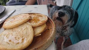 "" at Studio Vert  in Laroque-des-alberes