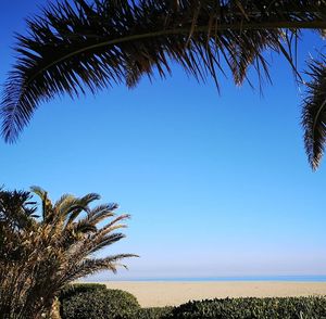 Only 20mins to Plage des Pins, Argeles sur Mer at Studio Vert  in Laroque-des-alberes