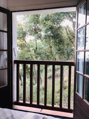 Forest room  at Studio Vert  in Laroque-des-alberes