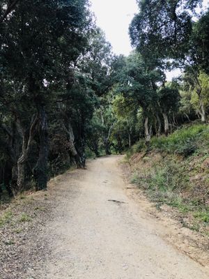 Daily hikes  at Studio Vert  in Laroque-des-alberes