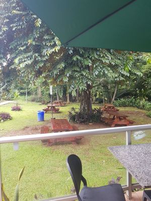 Outdoor seating at Pan & Canela Cafe in Panama City