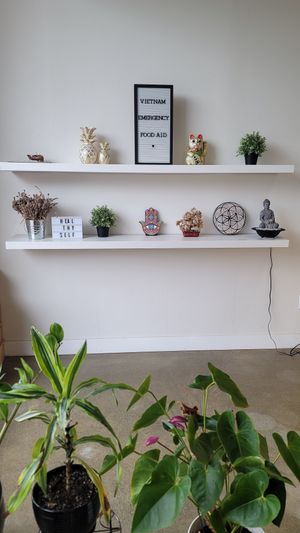 Inside at Mindful Juice Bar in Surrey