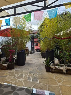  at Sweetbeat in San Cristobal De Las Casas