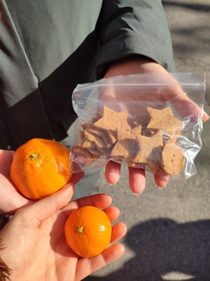  at Vegan Mart - 비건마트  in Busan