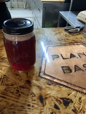 Elderberry 16 0z kombucha  at Plant Base in Jersey City