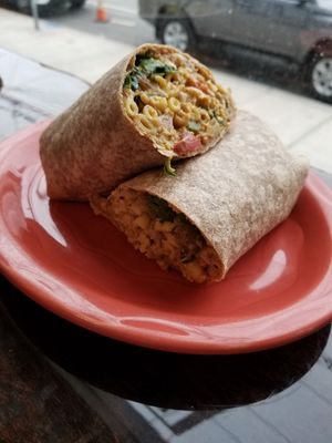 Zak Wrap at Plant Base in Jersey City