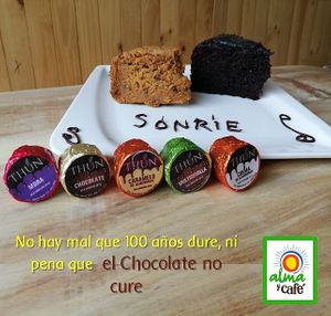 Tortas y Chocolates Veganos endulzados con Panela Organica at Alma y Café in Cali