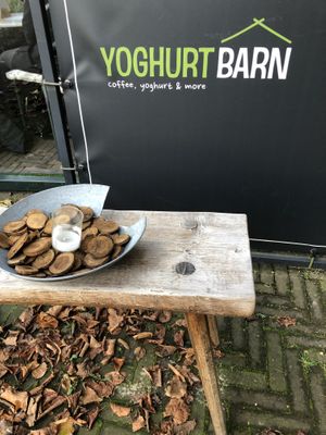   at YB by Yoghurt Barn in The Hague