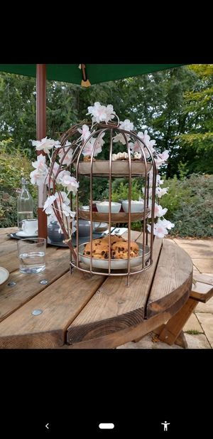 Vegan cream tea at The Terrace Cafe in Edinburgh