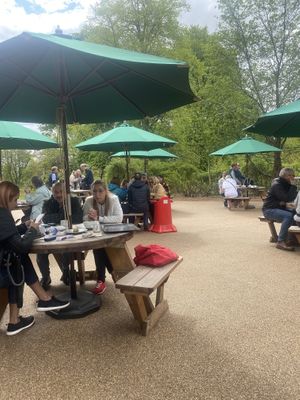 Outdoor seating   at The Terrace Cafe in Edinburgh