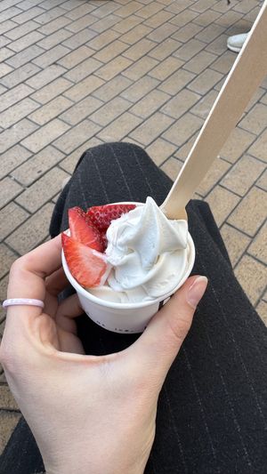   at PURE in Groningen