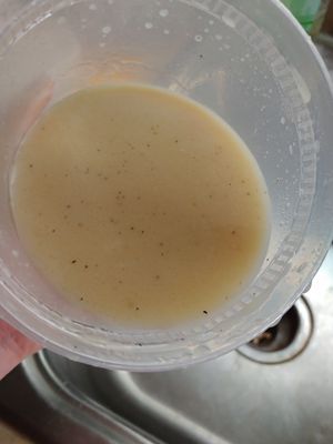 Vegan Ramen Broth at Itto Ramen - Haywood Rd in Asheville