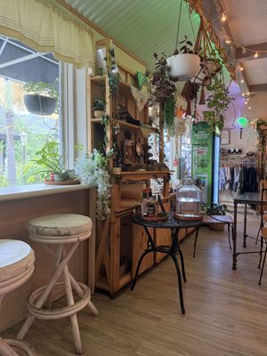   at Journey Cafe in Kailua Kona