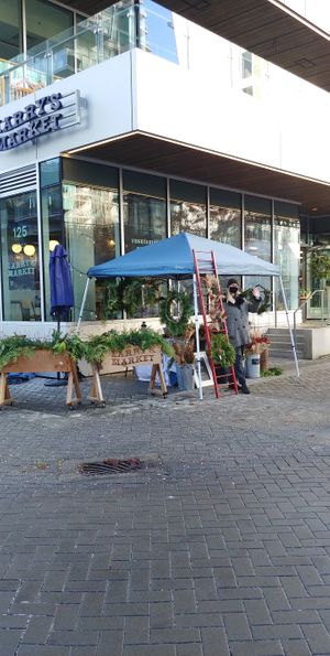 Local flowers at Larry's Market in North Vancouver