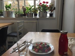 Cosy 🌱🌸 at Lovage Project in South West London