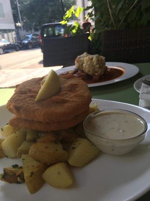 Schnitzel   at Landia in Vienna