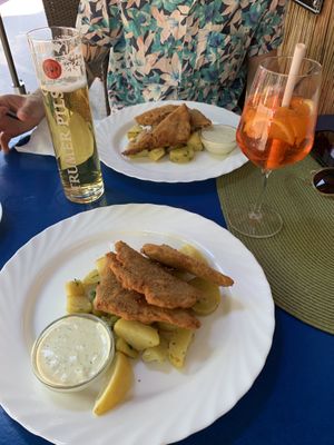 vegan schnitzel  at Landia in Vienna