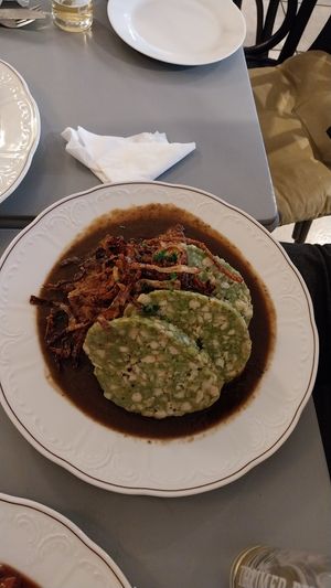 Vegan Onion-Roast at Landia in Vienna